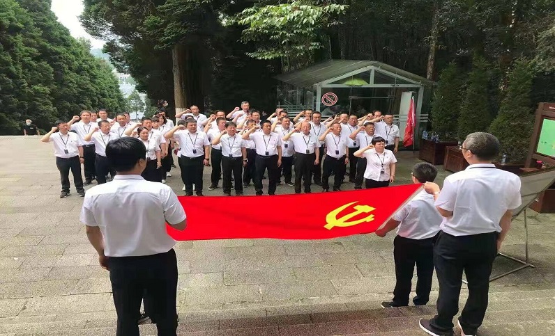 這一年，黨建引領(lǐng)增活力